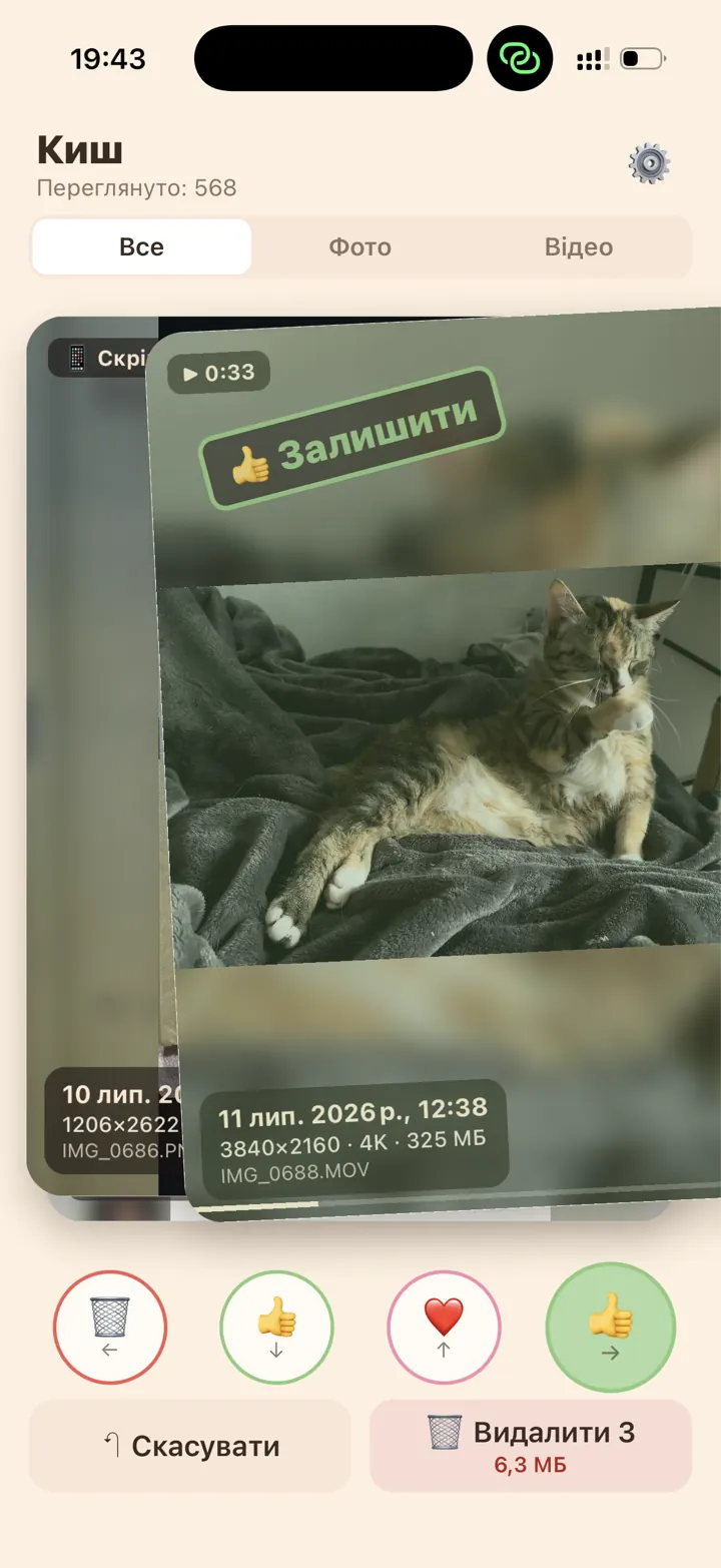 Свайп вправо: відео з котом зі штампом «Залишити»